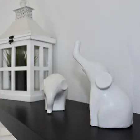 Appartement 7 Moons Solo Adultos